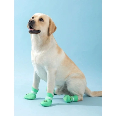 Giày mưa chó silicone chống trượt, đế mềm không thấm, dây Velcro, 3,5‑50kg, mùa mưa