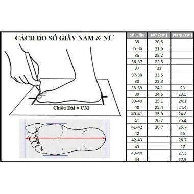 Giày Nữ AllStar Chuck Cổ Cao Xanh - Thời trang năng động, giảm còn 640k