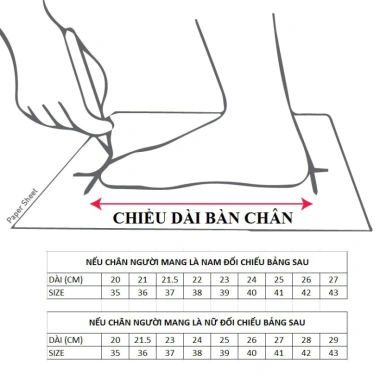 Giày Nữ Cổ Thấp AllStar Classic Xanh Biển - Thời Trang Thanh Lịch, Giá 829.500₫