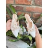 Giày sandal mũi nhọn đính hoa ngọc lấp lánh, quí phái, đế vuông T262H cho nữ dự tiệc cô dâu 2