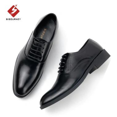 Giày Tây Nam Oxford Da Bò Cao Cấp SIGOURNEY Đen - Bảo Hành 18 Tháng - Giá 670k