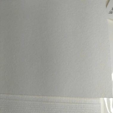 Giấy vẽ màu nước Canson Vân ngang A3 300gsm - Độ bám cao, mịn, giảm còn 49.000₫