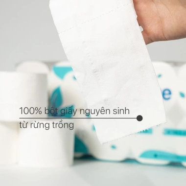 Giấy vệ sinh EcoWipes 3 lớp lốc 10 cuộn – mềm dai, thấm hút, có lõi/không lõi, 115k
