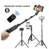 Gimbal 360 Q02 kèm Remote, Túi, Chân Tripod, Theo Dõi Khuôn Mặt, Quay Video - 820.000 4