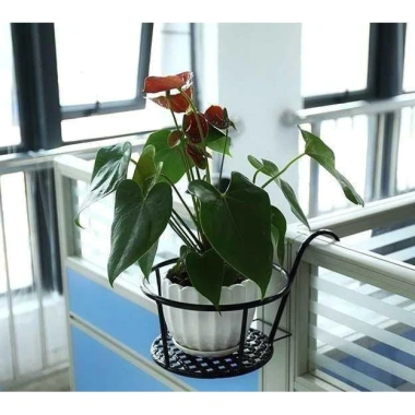 Giỏ Chậu Hoa Cây Cảnh Treo Ban Công - Thép Chịu Lực, Sơn Tĩnh Điện, Giá 39.000₫ 5