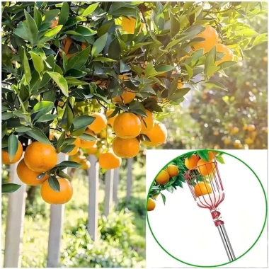 Giỏ Hái Trái Cây Tiện Lợi 2 ốc Siết - Lồng Vặt Hoa Quả Trên Cao Không Cần Leo Trèo, Giá 63.999đ 3 Giỏ Hái Trái Cây Tiện Lợi 2 ốc Siết - Lồng Vặt Hoa Quả Trên Cao Không Cần Leo Trèo, Giá 63.999đ 3