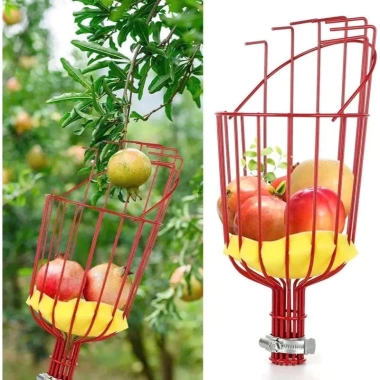 Giỏ Hái Trái Cây Tiện Lợi 2 ốc Siết - Lồng Vặt Hoa Quả Trên Cao Không Cần Leo Trèo, Giá 63.999đ 5 Giỏ Hái Trái Cây Tiện Lợi 2 ốc Siết - Lồng Vặt Hoa Quả Trên Cao Không Cần Leo Trèo, Giá 63.999đ 5