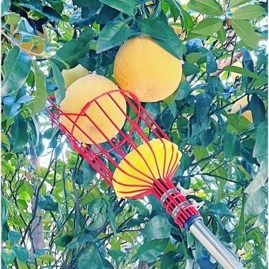 Giỏ Hái Trái Cây Tiện Lợi 2 ốc Siết - Lồng Vặt Hoa Quả Trên Cao Không Cần Leo Trèo, Giá 63.999đ