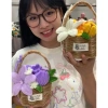 Giỏ hoa kẽm nhung Set tự làm - Sang trọng, giá 50.000₫, dùng trang trí và làm quà tặng 2