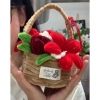 Giỏ hoa kẽm nhung Set tự làm - Sang trọng, giá 50.000₫, dùng trang trí và làm quà tặng 4