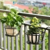 Giỏ hoa treo ban công - Chậu cảnh, móc treo, khung thép, sơn tĩnh điện, chỉ 36.000 đồng