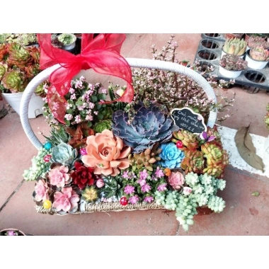 Giỏ hoa trồng sẵn sen đá hoả tốc – Trang trí nội thất đẹp, chỉ 280.000₫