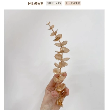 Giỏ tre đựng quà Tết đa mẫu đẹp - Đựng bánh kẹo, trang trí Tết, siêu rẻ 8.000₫ 10