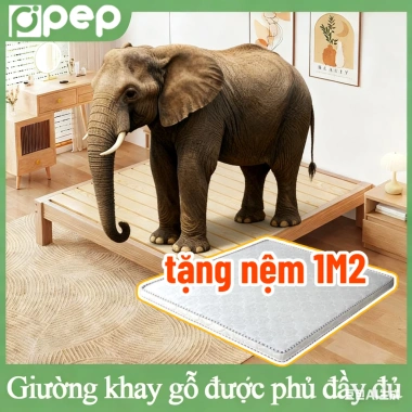 Giường Ngợp Hiện Đại - Tặng Tủ Đầu Giường Cao Cấp Gỗ Công Nghiệp Bền Đẹp