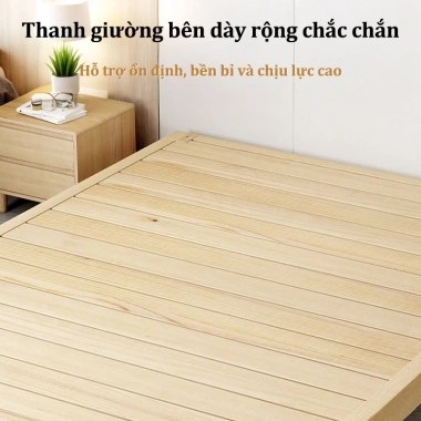 Giường Ngợp Hiện Đại - Tặng Tủ Đầu Giường Cao Cấp Gỗ Công Nghiệp Bền Đẹp