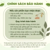 Gốc hoa hồng ngoại Kate hồng, bùi bao đẹp chuẩn đủ màu - chỉ 19.600đ 4