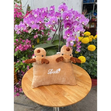 Gối 2 Đầu An Toàn Siêu Mềm Mịn Cho Bé Đi Xe Đa Dạng Mẫu, Giá 118.800 VND 2