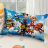 Gối cao su hoạ tiết hoạt hình vui nhộn cho bé 2‑10 tuổi, KT30x50cm – Đi học, du lịch, giá chỉ 160.000₫ 4