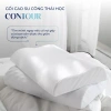 Gối cao su lượn sóng Contour Liên Á Đạt chuẩn ECO - Thiết kế công thái học, nâng đỡ êm ái, giảm đau, giá 265.000₫ 5