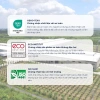 Gối cao su lượn sóng Contour Liên Á Đạt chuẩn ECO - Thiết kế công thái học, nâng đỡ êm ái, giảm đau, giá 265.000₫ 6