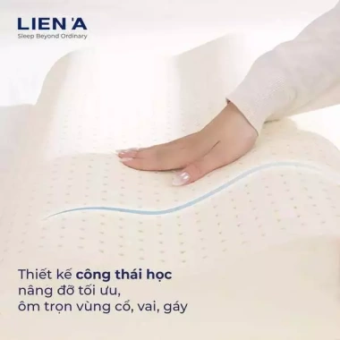 Gối cao su lượn sóng Contour Liên Á Đạt chuẩn ECO - Thiết kế công thái học, nâng đỡ êm ái, giảm đau, giá 265.000₫ 7 Gối cao su lượn sóng Contour Liên Á Đạt chuẩn ECO - Thiết kế công thái học, nâng đỡ êm ái, giảm đau, giá 265.000₫ 7