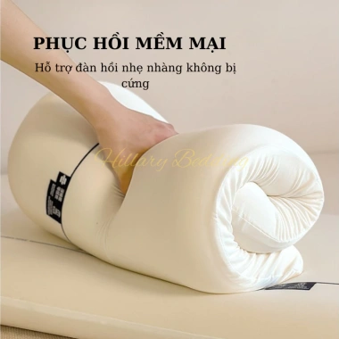 Gối cao su non cao cấp 42x70cm - Chống đau vai gáy, mềm mại thoáng khí, giảm giá 22% chỉ 252.000₫ 4