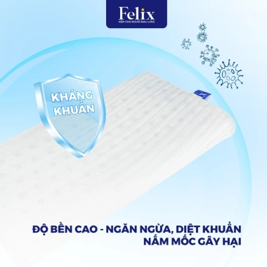 Gối Cao Su Thiên Nhiên 100% Baby Joy - Thoáng Khí, Nâng Đỡ cho Trẻ 2-7 Tuổi và Người Lớn Lót Lưng Làm Việc