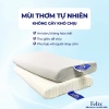 Gối Cao Su Thiên Nhiên 100% Baby Joy - Thoáng Khí, Nâng Đỡ cho Trẻ 2-7 Tuổi và Người Lớn Lót Lưng Làm Việc 8