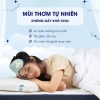 Gối Cao Su Thiên Nhiên 100% - Massage Đầu Cổ Vai Gáy Thoáng Khí Êm Ái - 757.500₫ 9