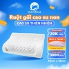 Gối Cao Su Thiên Nhiên Chagota 40x60cm - Hỗ Trợ Cột Sống, Nâng Sức Khỏe, Giá 359.000₫