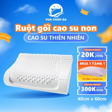 Gối Cao Su Thiên Nhiên Chagota 40x60cm - Hỗ Trợ Cột Sống, Nâng Sức Khỏe, Giá 359.000₫