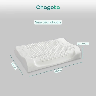 Gối Cao Su Thiên Nhiên Chagota 40x60cm - Hỗ Trợ Cột Sống, Nâng Sức Khỏe, Giá 359.000₫