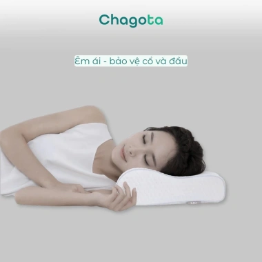 Gối Cao Su Thiên Nhiên Chagota 40x60cm - Hỗ Trợ Cột Sống, Nâng Sức Khỏe, Giá 359.000₫