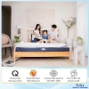 Gối Cao Su Thiên Nhiên FELIX Pudding Thoáng Khí - Nâng Đỡ Nhẹ Nhàng, Êm Ái 888k 9