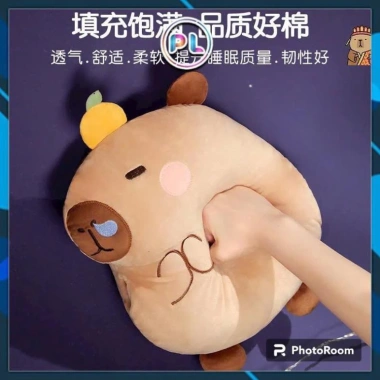 Gối Chăn 2 Trong 1 Hình Capybara Văn Phòng, Chăn Đêm và Gối Xe, 185.900 VND 7 Gối Chăn 2 Trong 1 Hình Capybara Văn Phòng, Chăn Đêm và Gối Xe, 185.900 VND 7