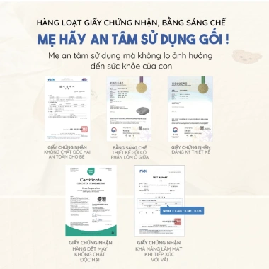 Gối chống trào ngược ROTOTO BEBE ruột C nhập khẩu chính hãng - giảm 1.399.000₫ 9