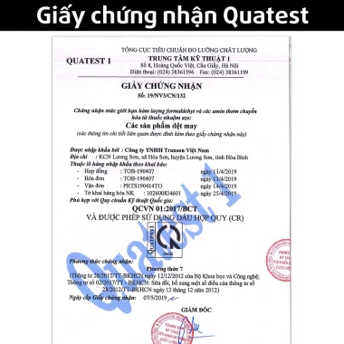 Gối chống trào ngược Toddler Rototo Bebe cho bé 5 tháng đến 5 tuổi ALADDINVINA Giá 2,99 triệu 5