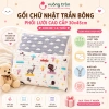 Gối chữ nhật 30x45cm cotton Hàn Quốc chần bông phối lưới cao cấp - Giá chỉ 170.099₫