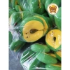 Gối Chữ U Kê Cổ Siêu Êm Dành Cho Văn Phòng - Giá chỉ 56.500đ, giảm từ 67.800đ 4