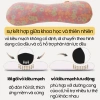 Gối công thái học lõi vỏ kiều mạch đàn hồi, giảm đau vai gáy, thắt lưng, gối kê cổ - Giá ưu đãi 280.000 VND 2