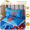 Gối Điều Hòa 30x50cm Cho Bé Đi Học – Thoáng Khí, Thấm Hút Mồ Hôi, Giá 52.000₫