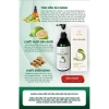 Gội gàu nấm Dr Cell 250ml - Giảm nấm, gàu, nuôi dưỡng tóc sâu, giá chỉ 180.000đ 8