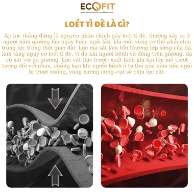 Gối Kê Cổ Lưng Đa Năng Hình Tam Giác Nâng Đỡ Cột Sống - Tựa Lưng Êm Ái Giảm Đau Khi Ngồi Nằm, Giá Ưu Đãi 225k 7 Gối Kê Cổ Lưng Đa Năng Hình Tam Giác Nâng Đỡ Cột Sống - Tựa Lưng Êm Ái Giảm Đau Khi Ngồi Nằm, Giá Ưu Đãi 225k 7