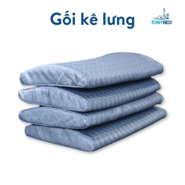 Gối Kê Lưng Dầu Cọ Êm Ái Đàn Hồi Tốt - Hỗ Trợ Thoát Vị Đĩa Đệm, Giá 115k - TonyBed 3 Gối Kê Lưng Dầu Cọ Êm Ái Đàn Hồi Tốt - Hỗ Trợ Thoát Vị Đĩa Đệm, Giá 115k - TonyBed 3