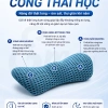 Gối kê thắt lưng lượn sóng Ema - Hỗ trợ bà bầu, giảm đau lưng, thoát vị đĩa đệm, 272k 4
