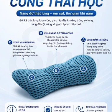 Gối kê thắt lưng lượn sóng Ema - Hỗ trợ bà bầu, giảm đau lưng, thoát vị đĩa đệm, 272k 4