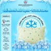 Gối Mochi iCool lông vũ mát lạnh, mềm mại - Tặng áo gối ngẫu nhiên, chỉ 120k - Ngọc Hạnh Bedding