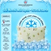 Gối Mochi iCool lông vũ mát lạnh, mềm mại - Tặng áo gối ngẫu nhiên, chỉ 120k - Ngọc Hạnh Bedding 2