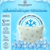 Gối Mochi iCool lông vũ mát lạnh, mềm mại - Tặng áo gối ngẫu nhiên, chỉ 120k - Ngọc Hạnh Bedding 3