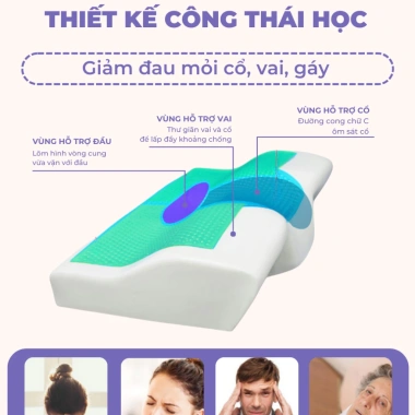 Gối ngủ nhanh cao su non CECILA cho người lớn - Công thái học giảm đau vai gáy, hỗ trợ ngủ sâu
